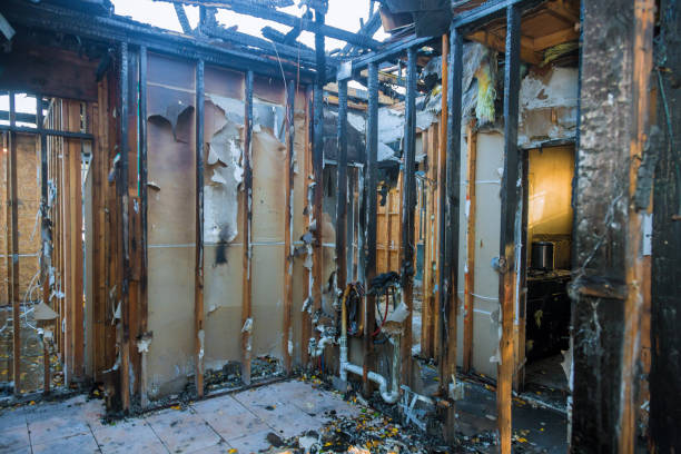 Professional Fire Damage Removal technician working in Lehigh Acres, FL